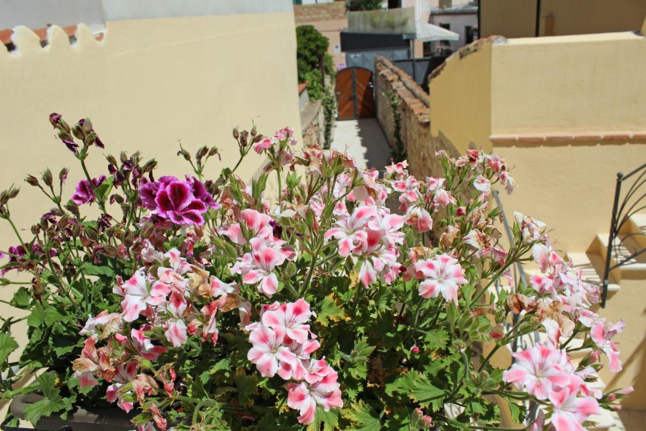 Ogliastra Luxury Apartment - Ajpsardinia 토르톨리 외부 사진